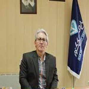 رامین پورنجف